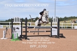 BPP_6390