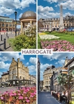 Ref 74 Harrogate