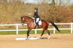 SBM_004661