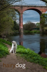 Kasper's Walkies! portfolio