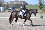 BPP_9460