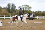 SBM_002633