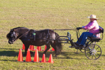 Harness Driving Challenge 11. 0A3A9681