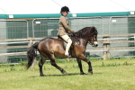 SBM_06817