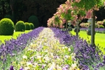 Flower bed