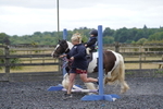 CLASS 1 CROSS POLES portfolio
