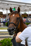 170623-Race 6-Mostawaa-0916