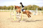 SBM_003651