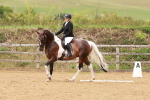 SBM_001919