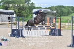 BPP_1594