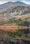 Autumn, Llyn Gwynant & Yr Aran