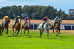 010826-Race 4-Accrual-2899