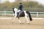 SBM_006787
