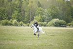 BVHT 140517  NXC -381