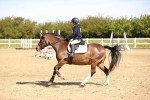 SBM_000950