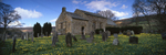 Daffodils Galore, Farndale