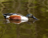 20140419-3K8A0451