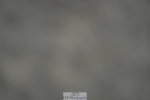 230909-172154-07228