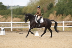 SBM_009753