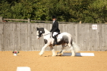 SBM_18871