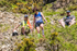 Coniston Junior-236