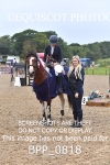 CLASS 9 SUN Derby Show Jumping 1M portfolio