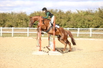 SBM_002856