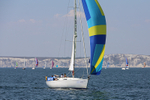 180707 LAURAL GBR1386L portfolio
