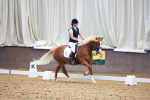 SBM_009003