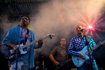 Events & Festivals portfolio