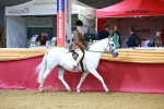 SBM_00323