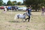 WJ6_7067
