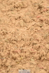 230610A-154250-04094