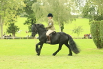SBM_71925