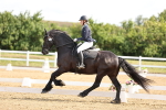 SBM_007610