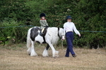 WJ7_6744