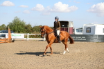 SBM_02295