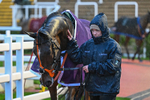 141125-Race 6-Jack Hyde-1061