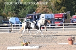 BPP_8959