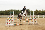 SBM_008877