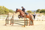 SBM_004340