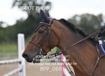 BPP_0681