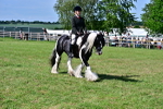 SBM_09342
