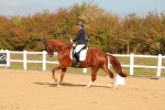 SBM_009338