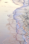 Winter Walk - On Five Finger Strand