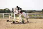 SBM_003257