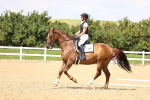 SBM_002034