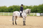 SBM_005887