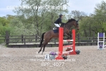 CLASS 10 - FRI - 1.15m Members Cup Qualifier/ 1.15m Open portfolio