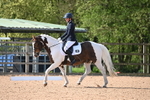 WJ6_7019